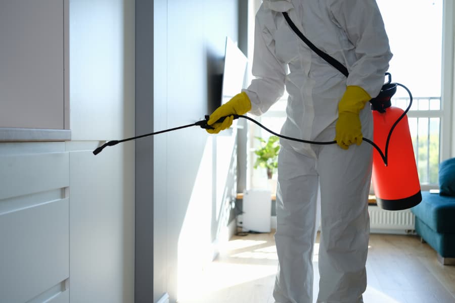 worker sprays compound for mold removal and surface proteciton