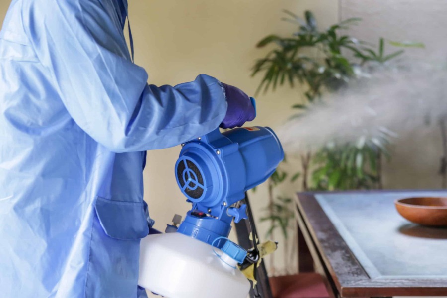 Fogging for Mold Remediation