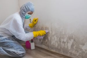 How Long Does Mold Remediation Take