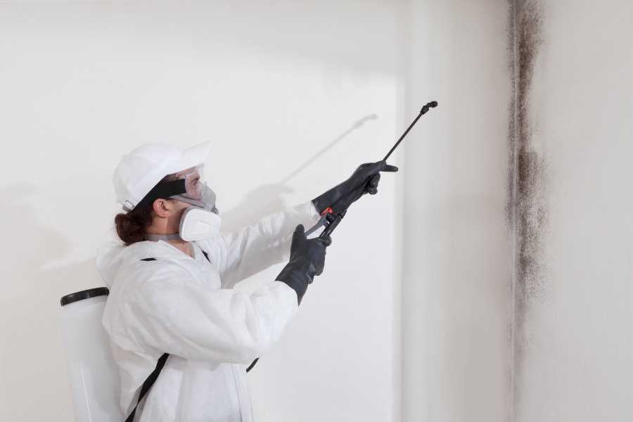 How Long Does Mold Remediation Take