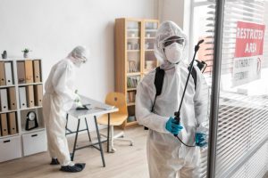 How to Prepare for Mold Remediation