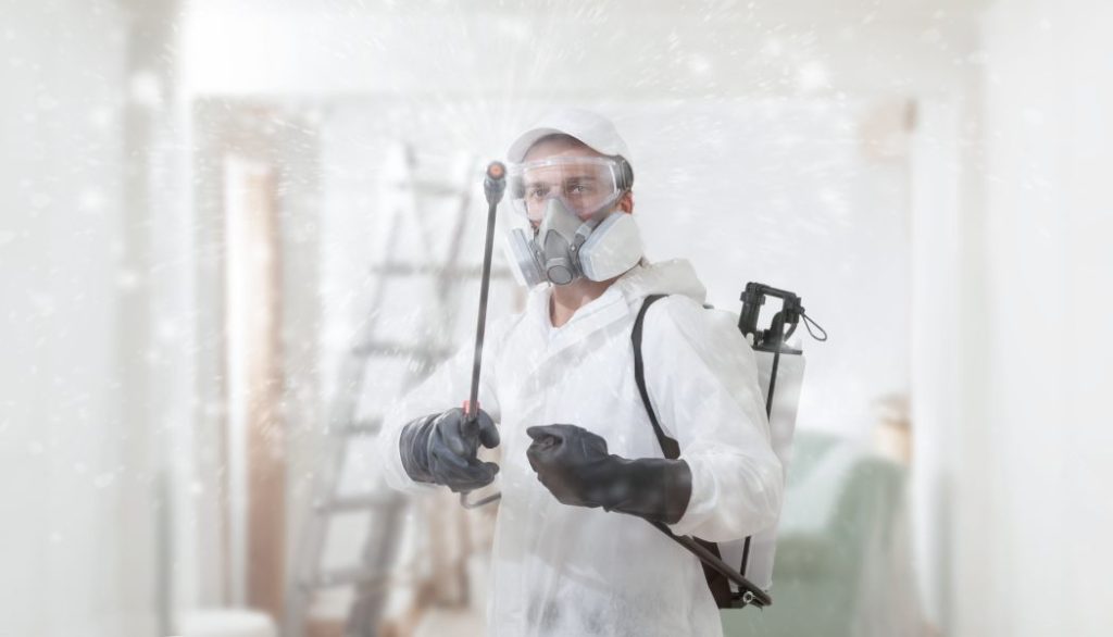 Is Mold Remediation Dangerous