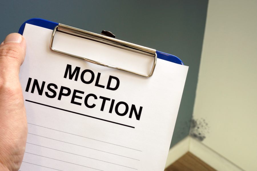 Preventing Mold-Related Health Issues
