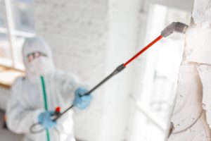 What Do Professionals Use for Mold Remediation