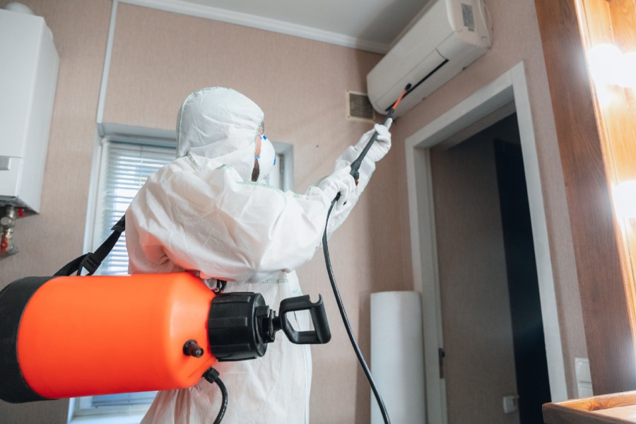 What Happens During Mold Remediation